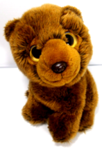 TY Beanie Boos Yukon The Brown Bear with tush tags 10 in Stuffed Animal Toy - £7.80 GBP