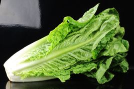 1000 Seeds of Lettuce Paris Island Romaine Vegetable Seeds USA Grown - £14.35 GBP