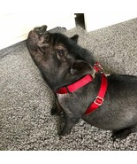 Adjustable Hog  (PIG) Harness 2 Metal Buckle Each Side USA Made - $498.64 MXN