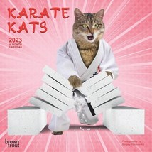 2023 Karate Kats 7x7 16-Month Mini Wall Calendar - $9.99
