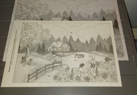 * TRI CHEM 7219 Country Garden Meadow Cabin Picture to Paint 12x18 inches - $243.52 MXN