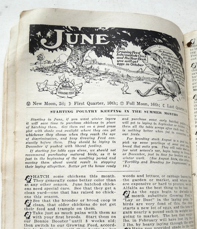 Park Pollard Co vintage 1924 Year Book Almanac poultry catalog Boston Buffalo  Item image 2