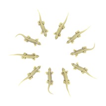 Rubber Lizard Toy - (Pack Of 10) Best Quality , Free Shipping Worldwide - £19.77 GBP
