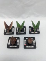 Lot Of (5) Monsterpocalypse Terrasaurs Grunt Figures Pterodactyl Spikasaur + - £19.09 GBP