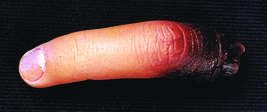 Morris Cut Off Finger New - $38.24