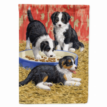 NWT&#39;s Border Collie Pups Flag Canvas House - $34.99