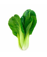 US Seller 500 Bok Choy Chinese Cabbage Seeds New Fresh - $5.48