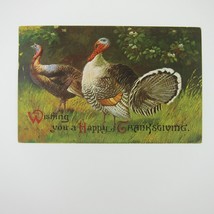 Thanksgiving Postcard Wild Turkeys Green Grass &amp; Bushes Embossed Antique c 1910 - £7.83 GBP
