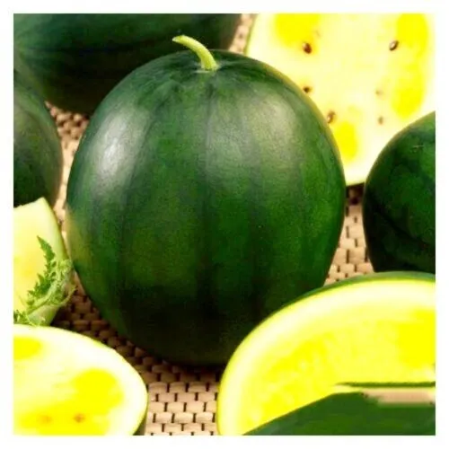 Fresh Giant Jubilee Watermelon Seeds Heirloom &amp; Non-Gmo 20 + Seeds Garden - £8.75 GBP