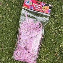 Dora The Explorer Easter Birthday Basket Filler Grass Nickelodeon Boots ... - $12.46