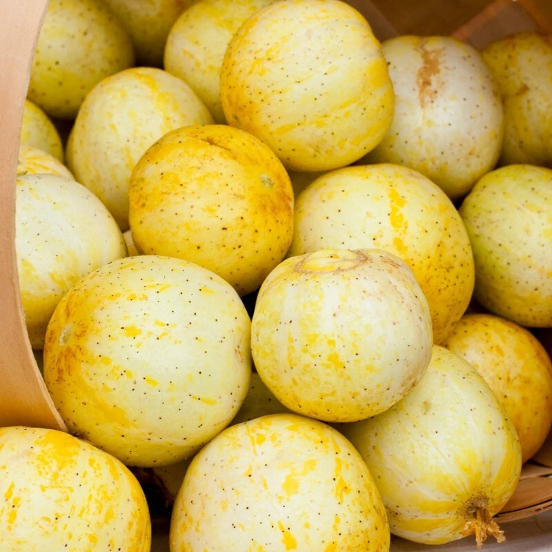 50 Lemon Cucumber Seeds | Heirloom / Non-GMO - $3.50