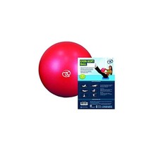 Fitness Mad Exer-Soft Ball - 9  - $19.00