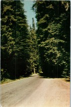 Redwood Highway one of the most scenic drives in the world California Postcard - £5.37 GBP