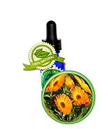CALENDULA Oil Extract - 1oz - anti-inflammation, wound healing, very dry... - $269.93 MXN