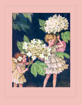 The Guelder Rose Tree Fairies Art by Cicely Mary Barker Original Early 1940s Edi - £11.94 GBP