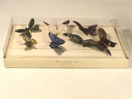 Pottery Barn Kunst Schmetterlinge Mehrfarbig Handbemalt Dekorativ Gans Feder - $59.46
