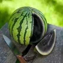 GIB 15 Seeds Easy To Grow Juicy Black Watermelon Large Summer Time Fruit - £7.10 GBP