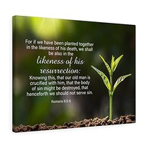 Express Your Love Gifts Bible Verse Canvas Likeness of His Resurrection Mind Rom - £63.45 GBP