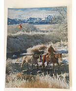 Country Magazine For Those Who  Live In Or Long For The Country DEC JAN ... - €12,79 EUR