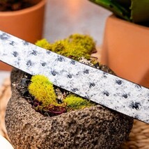 Domenico Genuine Exotic Ostrich Belt Antique Newspaper image 4