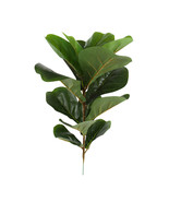 Kai Fiddle Leaf Branch 45cm - £17.95 GBP