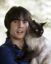 Davy Jones The Monkees star poses with his cat 1960&#39;s 8x10 inch photo - £7.67 GBP