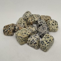 Quartz Crystal Tumble Stone A+ - Jasper Dalmatian - Medium (20-30mm) - 1 - £0.99 GBP