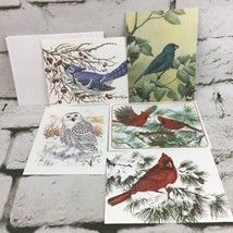 Vintage Bird Themed Blank Inside Notecards Assorted Lot Of 5 Cardinals Snowy Owl - $11.88