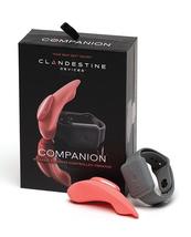 Clandestine Devices Companion Panty Vibe w/Wearable Remote - Coral - £136.67 GBP