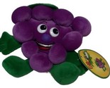 Toy Box Collection Fruit Seedies Golly Grape Fruit Plush 4.5&quot; Stuffed To... - $7.76
