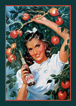 Pepsi Cola Girl In Orchard Apple Fruit Soda Pop Beverage Soft Drink Metal Sign - $14.95
