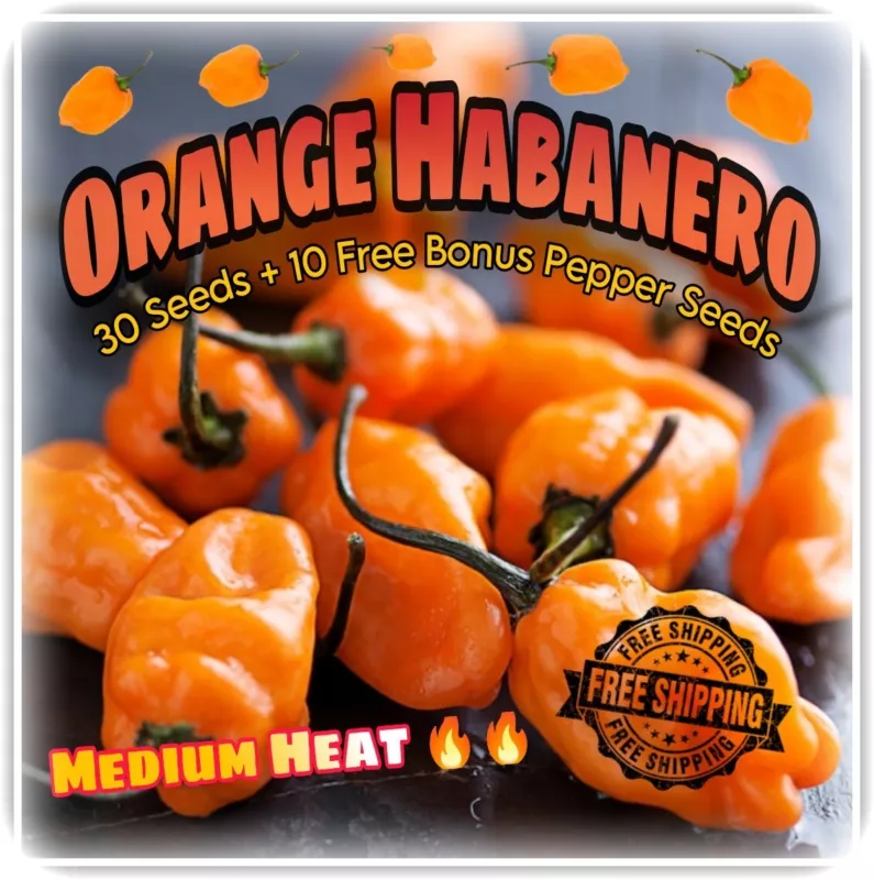 20 Seeds Orange Habanero Quick Plant Heirloom Seeds For Immediate Impact - $10.75