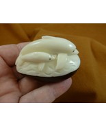 tne-dol-322c Mama + baby Dolphin jumping ocean river dolphins TAGUA NUT ... - €30,10 EUR
