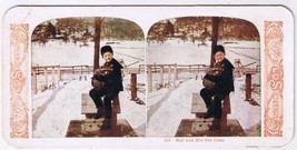 Stereo View Card Stereograph Rob And His Pet Coon - £3.98 GBP