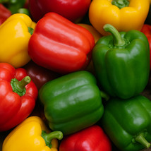 KKG California Wonder Large Bell High Yield Fresh Garden - $7.89