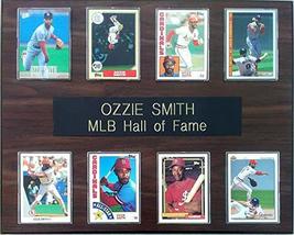 Frames, Plaques and More Ozzie Smith St. Louis Cardinals 8-Card 12x15 Cherry-Fin - $34.25