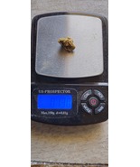 GOLD NUGGET - $44,968.99 MXN