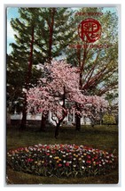 Rutledge Seed &amp; Floral Company Advertising Portland Oregon OR DB Postcar... - £13.61 GBP