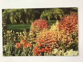  Vintage Postcard Unposted ✉️ Longwood Gardens Kennett Square Pennsylvania Usa - £1.95 GBP