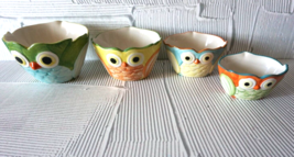 Pier 1 Imports Hand Painted Owl Nesting Measuring Bowls Cups Set Of 4 - $21.75