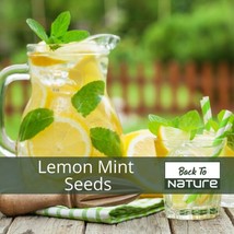 Lemon Mint Herb Seeds - Non Gmo - Fast Growing &amp; Tastes Great FRESH - £18.29 GBP