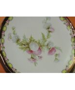 Hand Painted Prussia 9.25" Plate marked M.W Co 19th Century Mitchell Woo... - $26.99