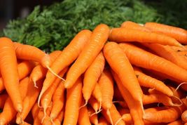 SG - 600 Seeds  Tendersweet Carrot Seeds, Beta Carotene, Vitamin A, NON-GMO - $7.89