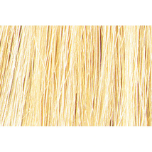 Tressa Colourage Haircolor, 12G Super Ultra Light Golden Blonde (2 Oz.)