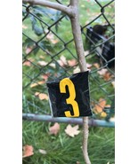 Ginkgo Biloba exact plant #3 seedling unsexed bareroot 3-4 year old - $88.90 CAD