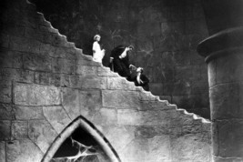 Dracula On Steps in Cellar of Castle Bela Lugosi 11x17 Mini Poster - £15.86 GBP