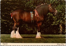 Clydesdale Grant&#39;s Farm St. Louis MO Postcard PC525 - £3.98 GBP