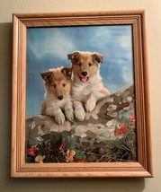 Rough Collie Framed Picture 2 Sable Puppies 23”x19” Portrait - $39.59