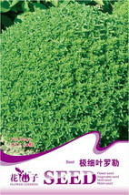 SL Super Small Thin Leaf Basil Herb &#39;Fine Minette&#39; Organic Seeds, Original Pack, - $1.38