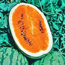 Tendersweet Orange Watermelon Vegetable Seeds Fresh Seeds USA - $14.26